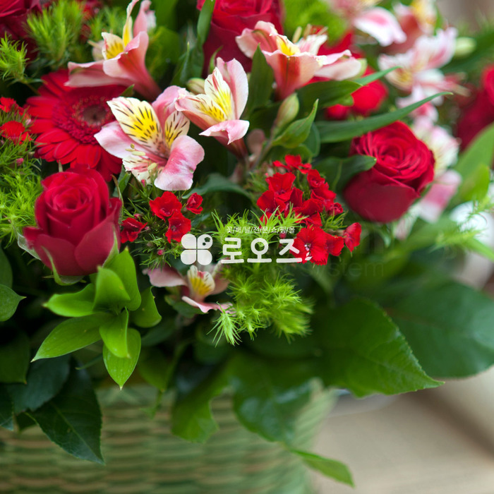 상세이미지