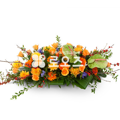유색계열사방화