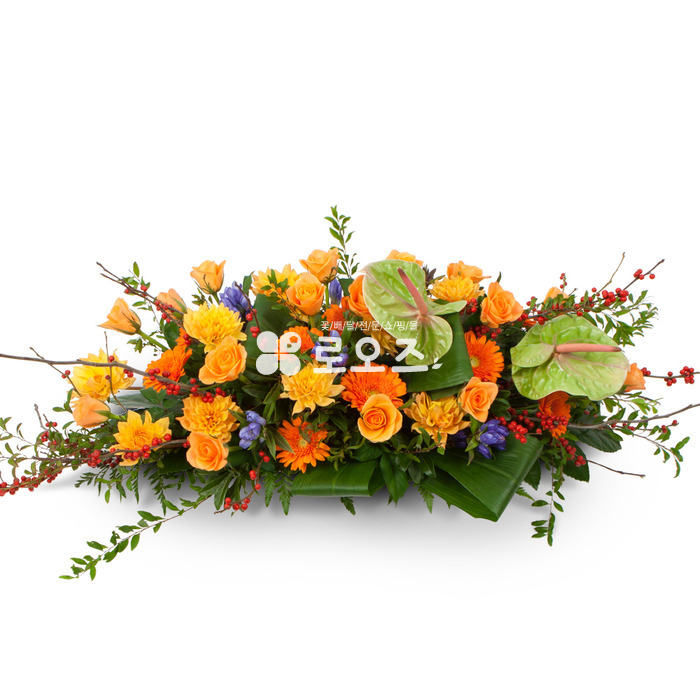 상세이미지