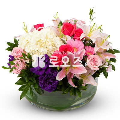 뷰티풀 라이프~