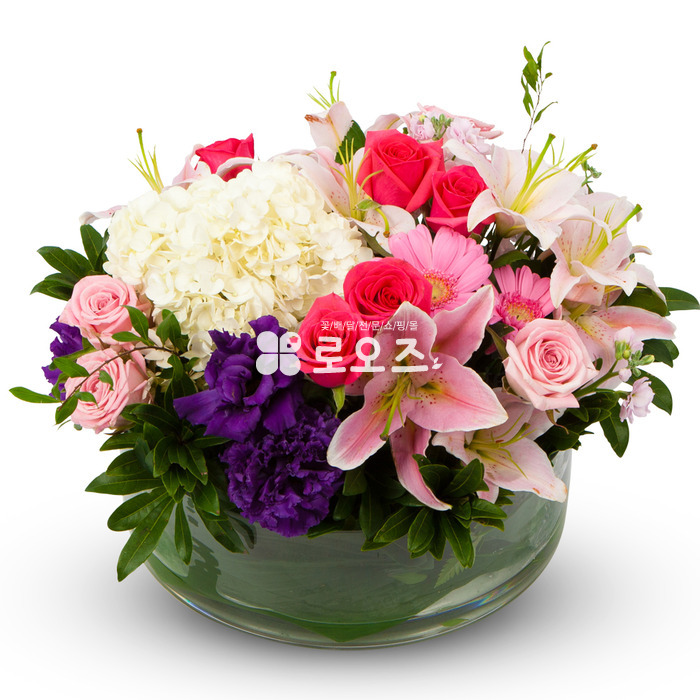 상세이미지