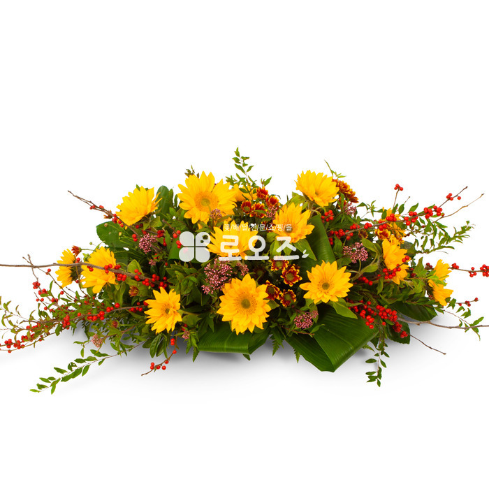 상세이미지