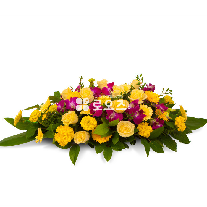 상세이미지