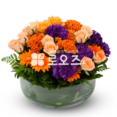 알록~ 달록~