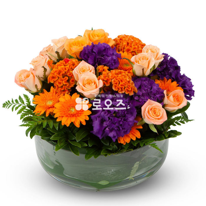 상세이미지