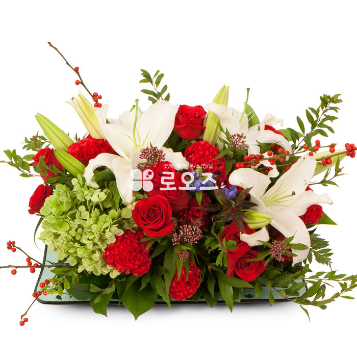 상세이미지