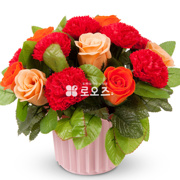 상세이미지