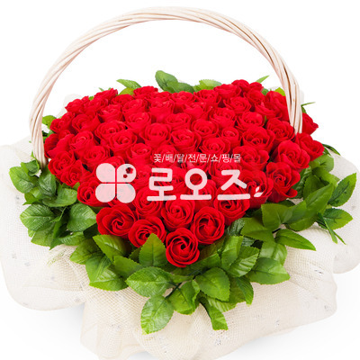비누꽃12호