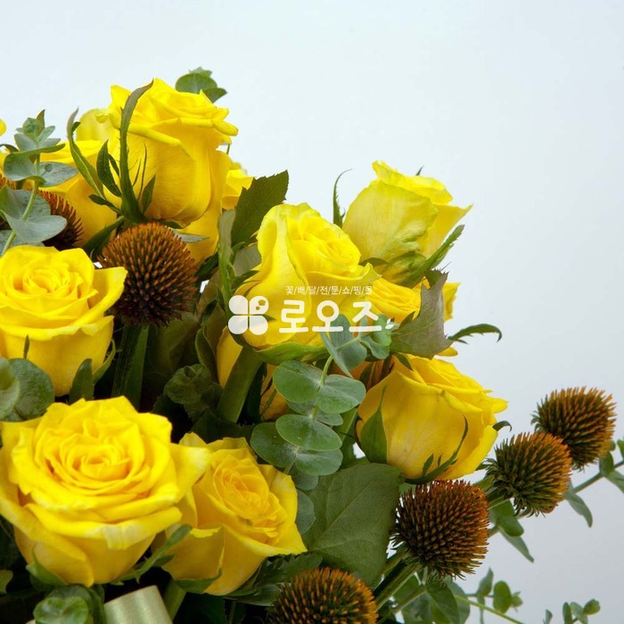 상세이미지