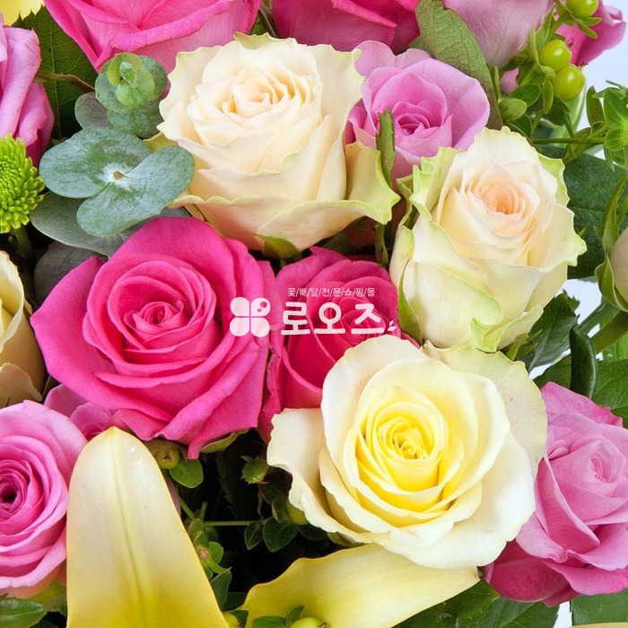 상세이미지
